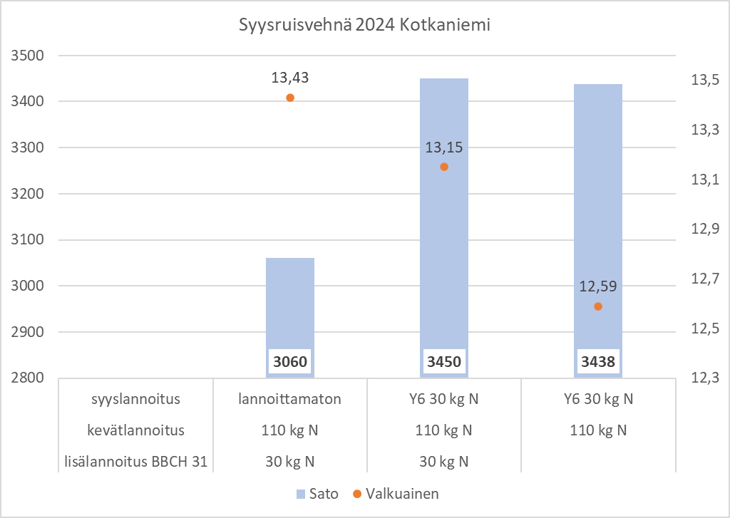 Graafi syysruisvehnä 2024 Kotkaniemi